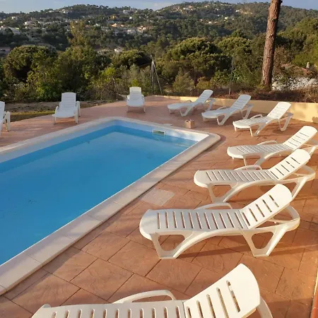 Club Villamar - Pansy